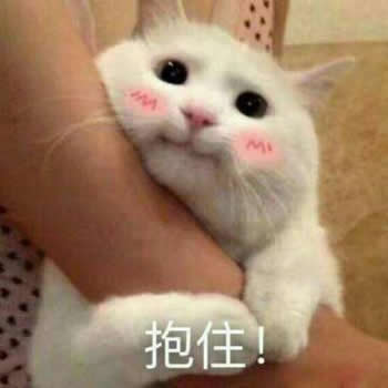  2019你有猫了吗先来玩玩这3款有趣的养猫游戏