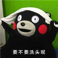  熊本熊带字表情包之单身女生来自世界的恶意