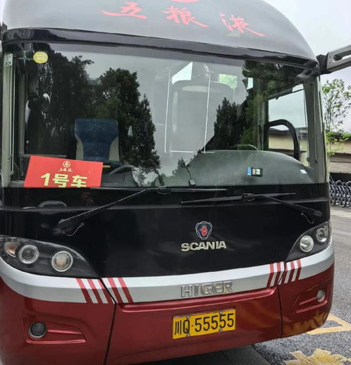 霸气金龙头像che