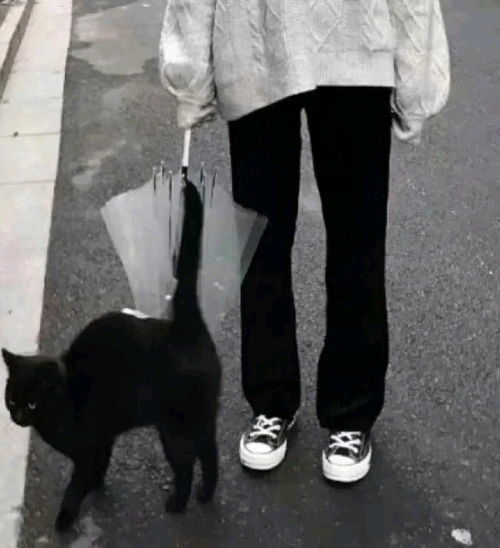  伤感系女生头像念旧的人活着像个拾荒者