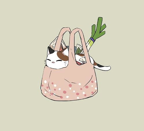  小野二的相册猫猫治愈系