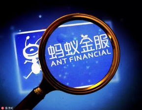  阿里巴巴助力龙江农业听听率先尝到甜头的地方怎么说
