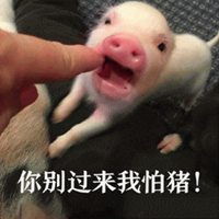  拿木棍敲猪表情包微信头像图片大全