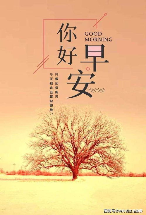  2020很火的正能量语录分享经典早安励志激励人的好句子