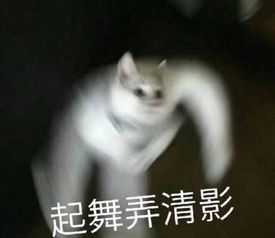  老师学生包场通宵打游戏每日轻松一刻6月11日晚间版