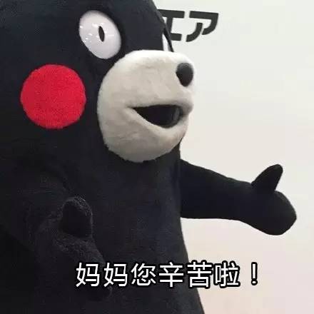 熊本熊头像不带字母亲节