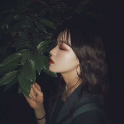  ins风头像韩系女生好看的原宿风ins高清头像