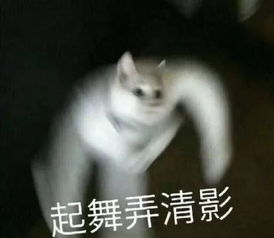 我们女孩子很大度的