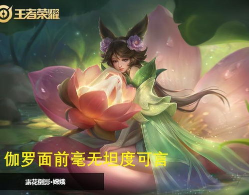  伽罗禁用率登顶意味着什么没有克星为所欲为,他们的春天来了