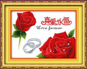  从网上买了个十字绣,真爱永恒,没画格,怎么画格呢