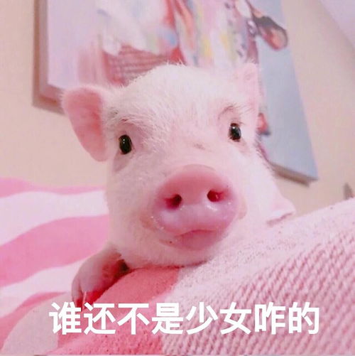  6.10关于公考家居和夏日穿搭