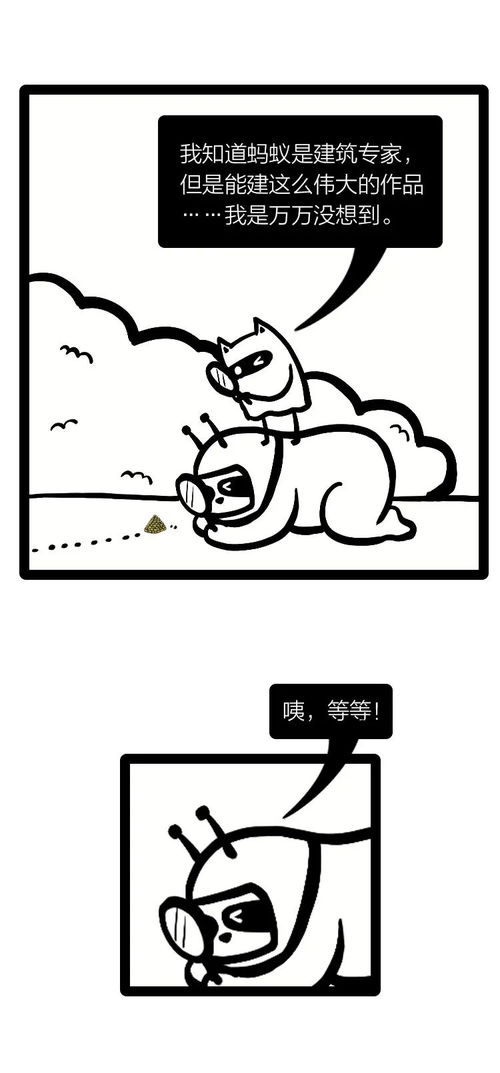  动物界最强建筑师,竟然是它