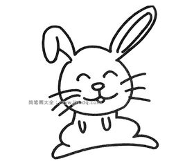  六张可爱的小兔子简笔画图片