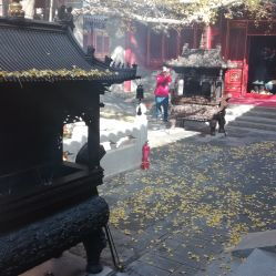  大悲寺门票地址地图攻略