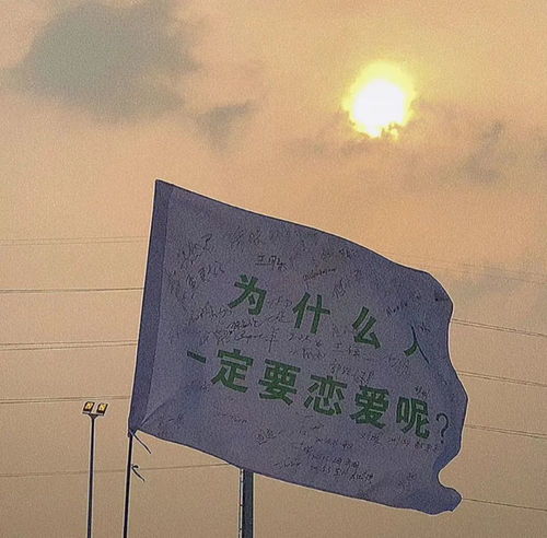 一下就击中你心脏的网易云文案
