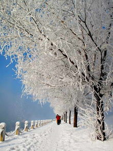  全国34个省市雪景摄影大pk美哉中国
