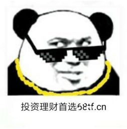 无字沙雕熊猫微信头像