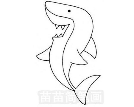  鲨鱼简笔画图片大全画法