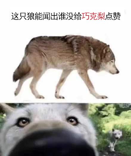  有哪些晚上睡不着可以发的大怨种文案
