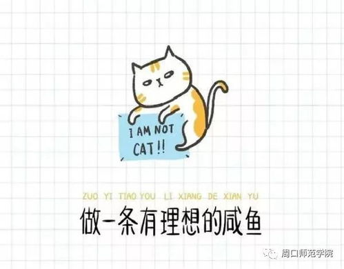  杏坛fm想和你聊聊关于考研那些事