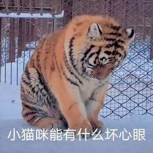 有哪些一发出去就能镇住朋友圈的沙雕文案