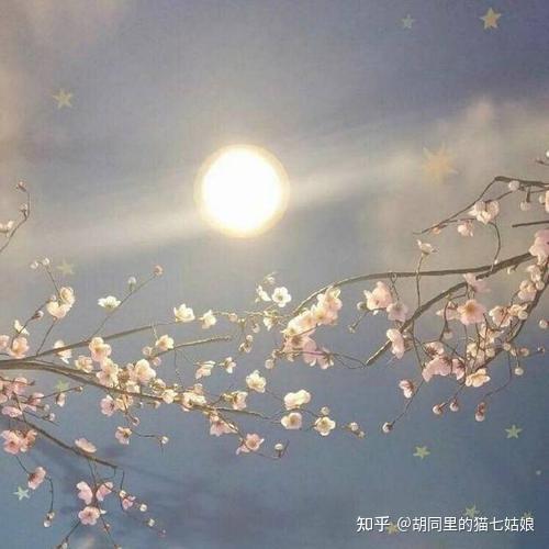  教堂的白鸽不会亲吻乌鸦,就像我配不上星空下的他