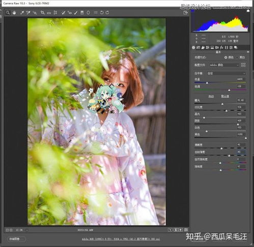  photoshop调出夏季外景人像甜美小清新效果