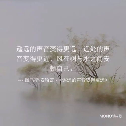 mono美句短句文艺小清新诗歌文图皆来堆糖,美好生活研究所