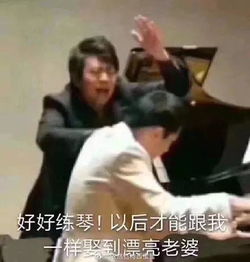  郎朗魔性教钢琴,东北话哐哐哐哐往外砸