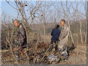  震撼中国真正的僧团