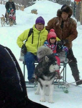  爸爸去哪儿黑龙江牡丹江雪乡拍摄内幕揭晓