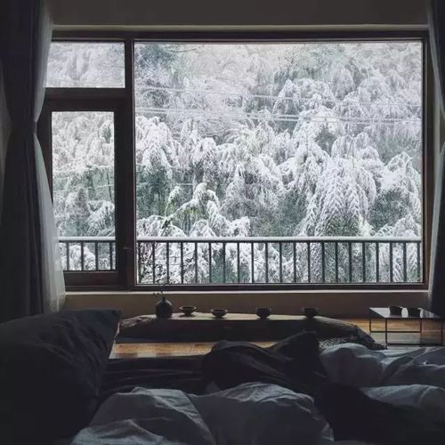 雪景头像高清杭州