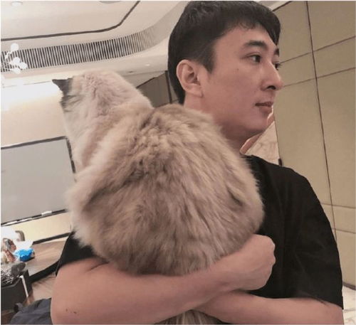  网红孙一宁发王思聪聊天记录,男方舔狗情话曝光疑因追求不遂报复