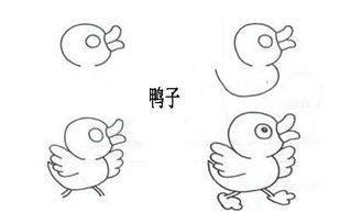 每日一画速成班第6期