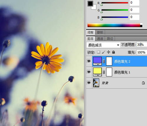  如何把微距下的花朵图片调成蓝黄色