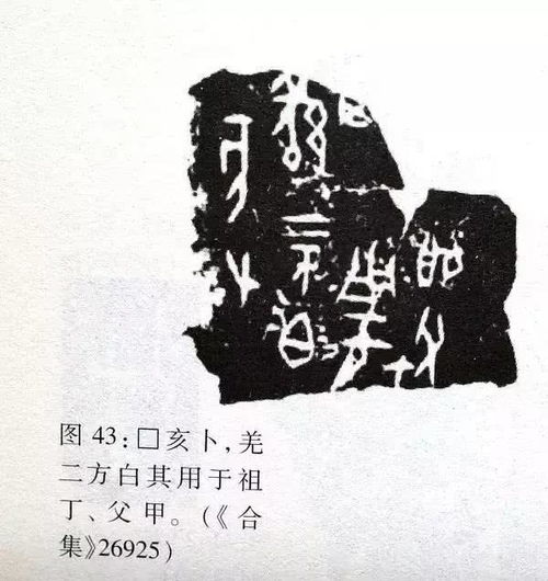  这个古老王朝的贵族竟爱食人它的灭亡昭示了中国文明演进的秘密