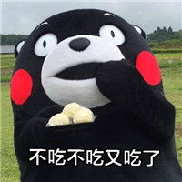  熊本熊搞怪带文字的表情包你为什么会成为胖纸