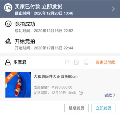  花近100万买的锦鲤长什么样