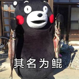  来呀,怼