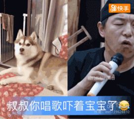  黄渤魔性舞蹈跳起来掀翻蘑菇屋上演一出好戏