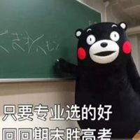  熊本熊带字学习头像微信头像图片大全