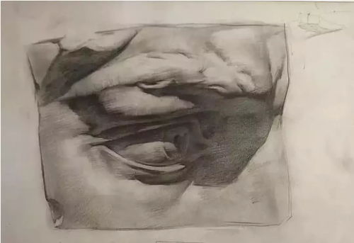  列宾美院素描,你的临摹好帮手