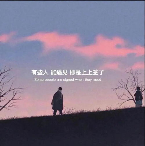  这些网红朋友圈背景以及头像你不进来看看