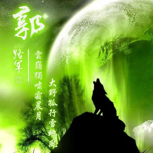  一组励志血性狼姓氏头像微信头像,送给在困境中坚持梦想的你