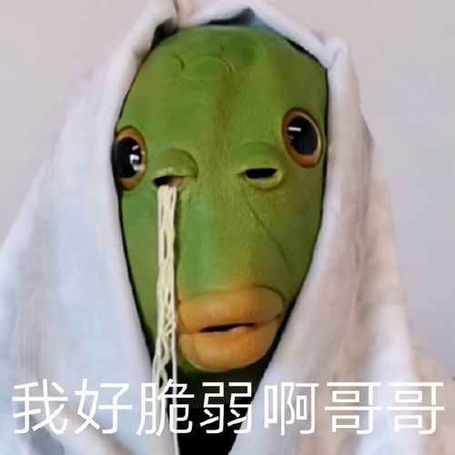 绿头鱼头像高清头套