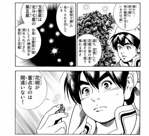  中华小当家极连载开启一碗担担面满血复活