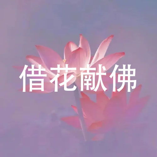 代表信佛的微信头像佛系