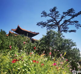  yolo游北京山西7天自驾游全攻略