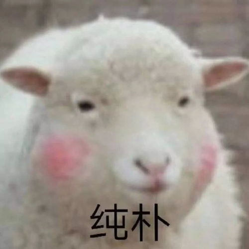  1000块买到人生中第一只大牌包,真香