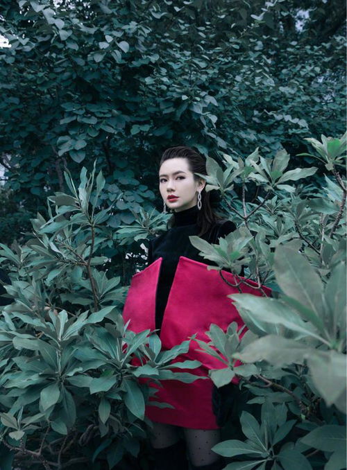  戚薇贵妇首饰经典大气,潮流穿搭时尚耐看,每次出场都十分霸气